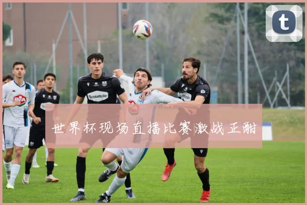 世界杯现场直播比赛激战正酣